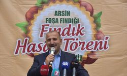 Trabzon'da coğrafi işaretli "Arsin Foşa fındığı"nın hasadı başladı