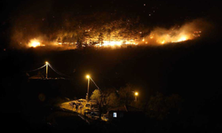 Bilecik ve Bursa'da etkili olan orman yangını kısmen kontrol altına alındı
