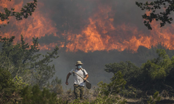 Yunanistan'da temmuzda 470 bin dönüm ormanlık alan yandı