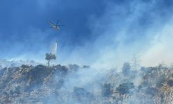 Aydın'da ağaçlık alanda çıkan yangına müdahale ediliyor