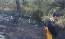 Balıkesir'de yıldırım düşmesi sonucu çıkan orman yangını söndürüldü