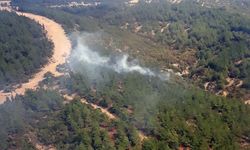 Çanakkale'de yıldırım düşmesi sonucu 6 noktada çıkan orman yangınlarından 5'i söndürüldü