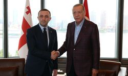 Cumhurbaşkanı Erdoğan, Gürcistan Başbakanı Garibaşvili'yi kabul etti