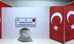 Diyarbakır'da 21 kilogram esrar ele geçirildi