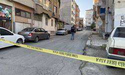 Elazığ'da çocuk parkında çıkan silahlı kavgada 2 zanlı gözaltına alındı