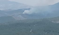 Manisa'da çıkan orman yangını söndürüldü