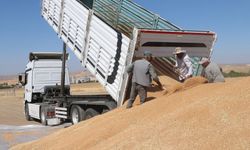 Yozgat'ta TMO'ya 800 bin ton arpa ve buğday teslim edildi