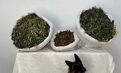 Bingöl'de 36 kilo 500 gram kubar esrar ele geçirildi