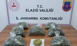 Elazığ'da uyuşturucu operasyonunda yakalanan 4 şüpheli tutuklandı