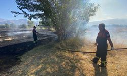 Erzincan'da iki köyde çıkan arazi yangını söndürüldü