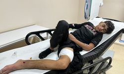 Erzurum'da bozayı saldırısına uğrayan 16 yaşındaki çocuk yaralandı