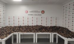 İstanbul Havalimanı'nda 10 bin 300 tilki kuyruğu ele geçirildi