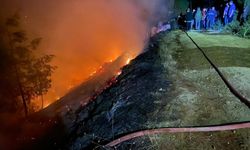 İzmir'de ormanlık ve makilik alanda yangın çıktı