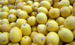 TZOB Genel Başkanı Bayraktar: "Eylülde üretici ve market arasındaki en fazla fiyat farkı yüzde 338,3 ile limonda"