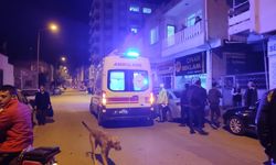 Adana'da kamyonet kasası kapağının çarptığı kişi yaralandı