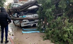 Adana'da kuvvetli rüzgar ve sağanak yağış etkili oldu