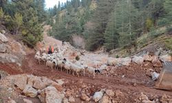 Adana'da yağış nedeniyle yaylada mahsur kalan 11 çoban ve hayvanları kurtarıldı