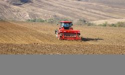Ağır bünyeli topraklarda buğdayın derine ekilmemesi tavsiyesi