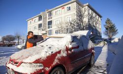 Bitlis'te kar yağışı etkili oldu