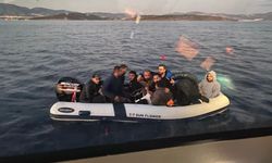 Bodrum'da 9 düzensiz göçmen yakalandı