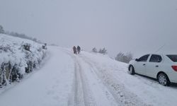 Gaziantep ve Malatya'da kar yağışı etkili oluyor