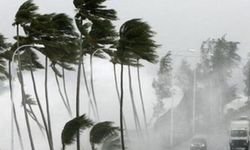 ABD'de 3 eyaleti etkisi altına alan fırtınada 2 kişi öldü