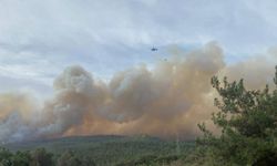 Gelibolu'da orman yangını