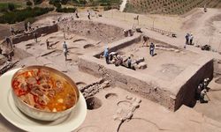 Kilis'te 4 bin 500 yıllık kelle-paça bulundu