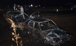 Şanlıurfa'da çarpışan iki otomobil yandı, 1 kişi yaralandı
