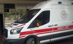 Urfa’da kamyonetin çarptığı çocuk yaşamını yitirdi