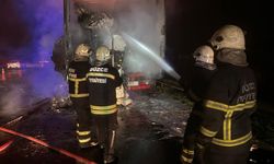 Anadolu Otoyolu'nda pamuk yüklü tırda yangın çıktı
