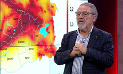 Deprem uzmanı Naci Görür'den Elazığ depremi açıklaması