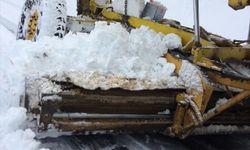 Karabük'te kar nedeniyle kapanan 107 köy yolunun 73'ü açıldı