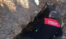 Sivas'ta su kuyusuna düşen köpeği itfaiye ekipleri kurtardı