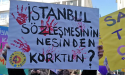 Çekya Senatosu İstanbul Sözleşmesi'ne 'hayır' dedi