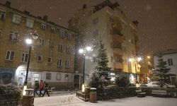 Erzurum, Kars ve Ardahan'da kar yağışı etkili oluyor