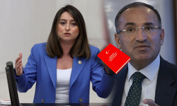 Anayasa fırlatan CHP'li Bankoğlu'ndan ilk açıklama! "Bekir Bozdağ Saray’ın kayyumu"