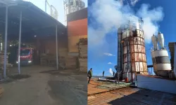 Necati Şaşmaz'ın orman ürünleri fabrikasında patlama!
