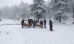 Karla kaplanan Kazdağları'na yaban hayvanları için yem konuldu