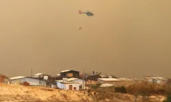 Şili'deki orman yangınları sürüyor: 51 kişi hayatını kaybetti