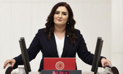 CHP İzmir Milletvekili Sevda Erdan Kılıç: Bakan protokolleri neden açıklamıyor?