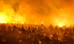 Şili'de devam eden orman yangınlarında hayatını kaybedenlerin sayısı 132'ye çıktı