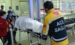 Adana'da otomobilin devrilmesi sonucu 2 kişi yaralandı