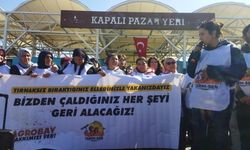 210 gündür sera önünde direnen Agrobay işçileri Ankara'ya yürüyüş başlattı