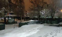 Bingöl Karlıova'da kar yağışı etkili oldu