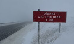 Çığ nedeniyle kapanan Ardahan-Artvin kara yolu ulaşıma açıldı