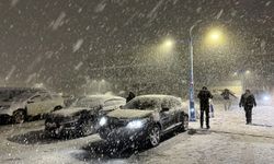 Kars, Ardahan ve Dersim'de kar yağışı etkisini artırdı