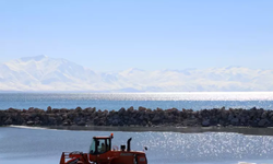 Van Gölü buharlaşıyor! Canlılık tehlike altında