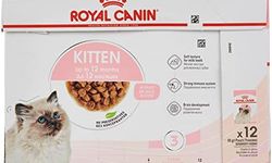 Royal Canin Kitten Kaç Yaşına Kadar Kullanılır?