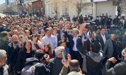 DEM Parti iradesi gasbedilen Van'dan YSK'ye seslendi